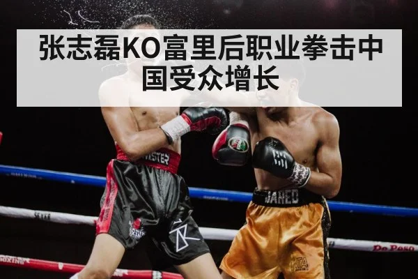 Zhang Zhilei knockout punch
